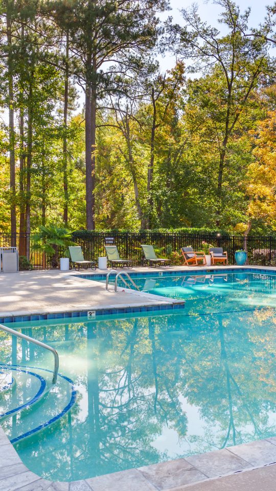 a pool surrounded by trees and a patio at The  Sawyer